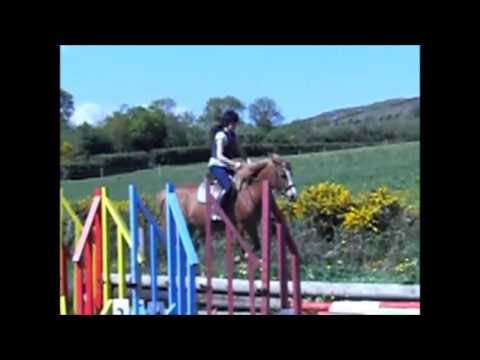 Fun Times on Ponies