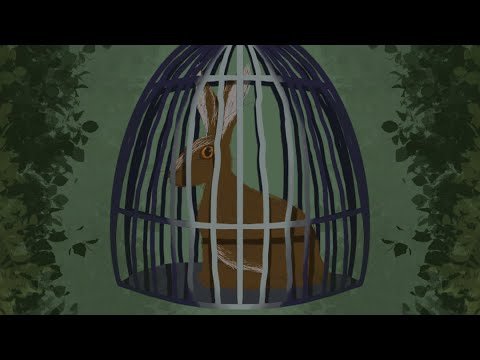 Harpy Hare Speedpaint