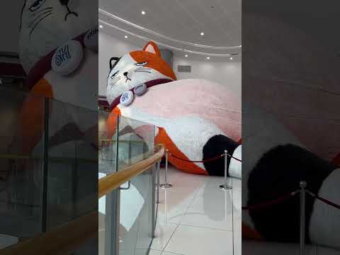 Meow at the SM MOA #moa #cat #purrfect
