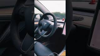 Tesla Autopilot Speed 😮💯😂  #shorts #tesla #teslaautopilot #itestingtech