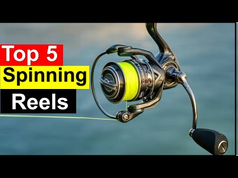 Best Spinning Reels  in [2025 ] Top 5