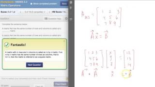 Basic Matrix Concepts and Operations (Part 1)