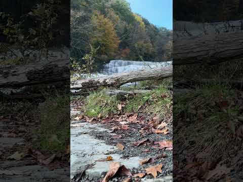 Wiscoy Falls, NY, Foreground Fun with Wiscoy Falls in the Backdrop! 🌿💦
