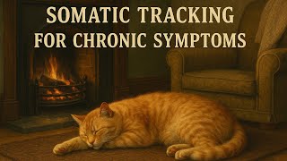 Somatic Tracking and Awareness Exercise