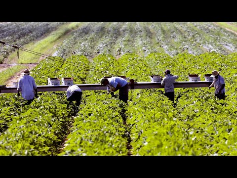 How These Farmers Use 27.5 Million Acres Of Farmland And 93,000 Farms