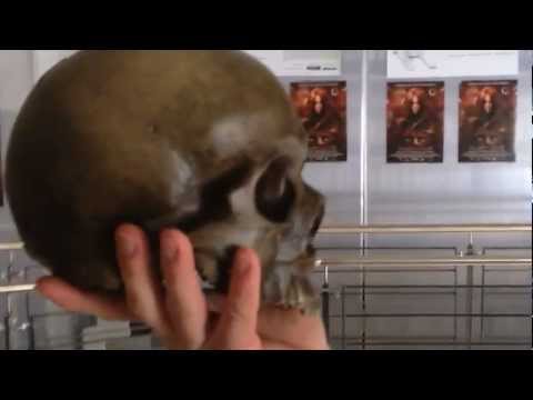 Lara Croft in den toneworx studios