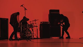 TO THE DOGS - SACRIFICE (Official Music Video)