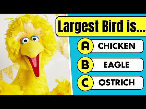 General Knowledge Quiz #4 │ 🌍 World Superlatives Quiz!