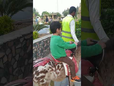 Poni horse ride by Humayl #b17islamabad #zoo #islamabad #fitness