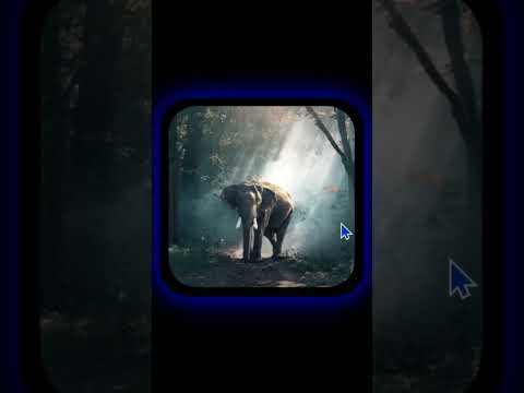 hover effect on image in html css | link in description #css # viral #shorts