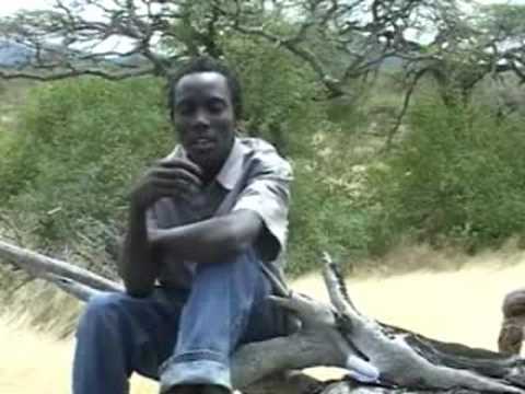 Antony answers Paula - how many lions have we saved?