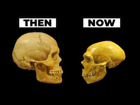 Humans Are Carnivores. Here's Why.