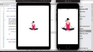 iOS Splash Screen Demo