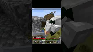 This collison is awefull #minecraft #s&ssmp  #mcserver #gaming #shorts  #minecraftserver  #funny