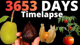 10 YEARS of Growing Plants in TIMELAPSE (Compilation)