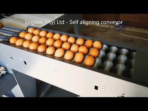 Egg grader - EGM6000
