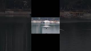 fly like bird #fastrobot #automobile #diyrocket