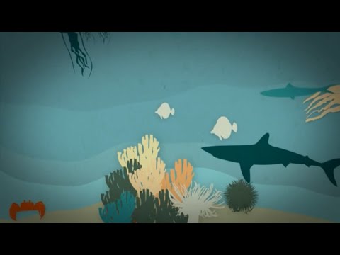 Biodiversidad