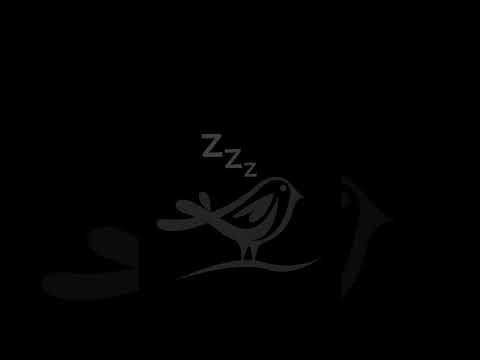 Sleep Music with Waterfall Sounds/White Noise & Black Screen 😴😴