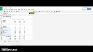 Changing the appearance of a worksheet