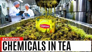 8 US Tea Brands You Must Avoid