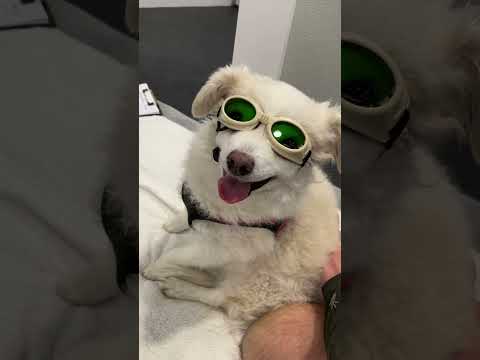 Lyla IR Therapy