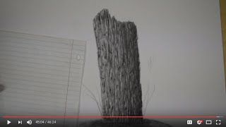 How to Draw a Wooden Fence Post (or tree bark)