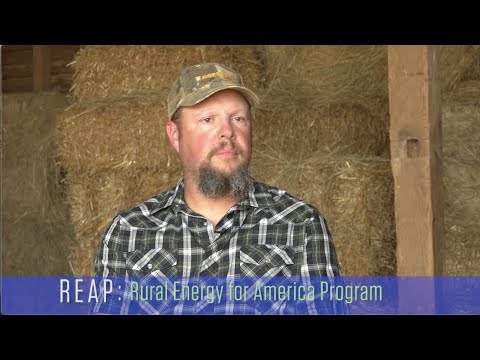 What is it like to apply for farm energy incentive programs like REAP?