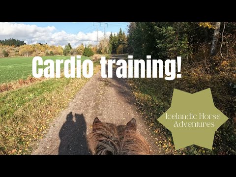 Cardio training! | GoPro Hero 10 | Icelandic Horse Adventures