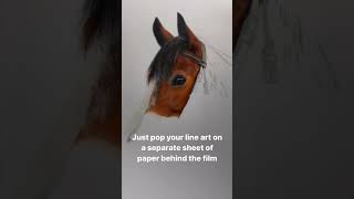 Drafting Film is so great to work on, let me show you why! #colouredpencilart #realismart