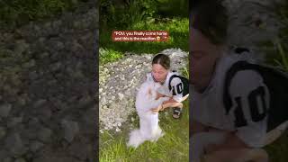 ❤️🥺 #furbaby #fypage #highlights