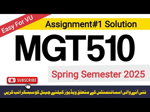 MGT510 Assignment 1 Solution |Spring 2025