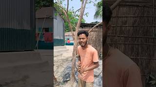 🦍🐒 Funny Video #funny #funnyvideos #trendingreel #viralfunnyvideo #trendingshorts #viralvideo 🐒🐒