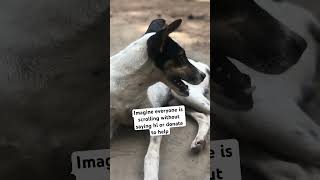 Gofundme donation link in bio to help @sarahcarter-y7f @DonateMedia