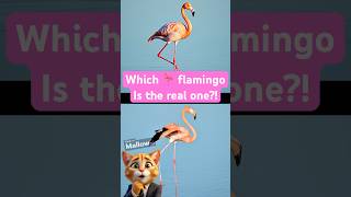 Real or Fake Flamingo? 🦩 #shorts #aichallenge