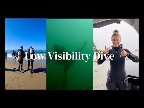 SCUBA DIVING || Low Visibility