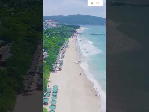 ONE Decision Can Change Your Life – Steve Harvey Motivation | Steve Harvey Vibes