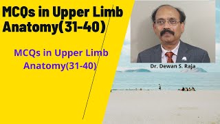 MCQs in Upper Limb Anatomy (31-40)