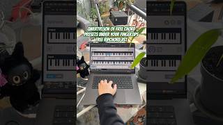 QWERTYllion Of Free Chord Presets Under Your Fingertips Free VST Ripchord  🔥🎹🔥