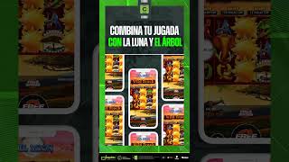 5 giros gratis te esperan en el Casino Codere ¡Juega ya! ✨