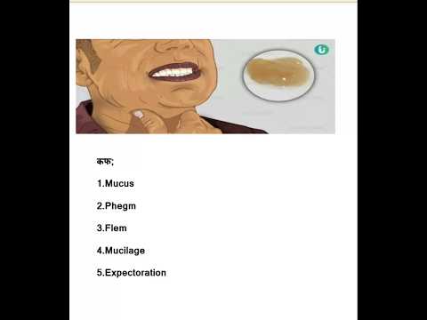 कफ या बलगम meaning in english. #synonyms #ssc #upsc #english #englishgrammar