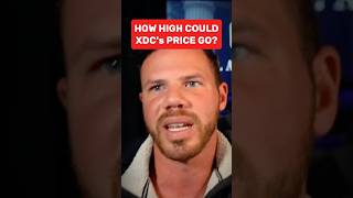 How High Could XDC's Price Go