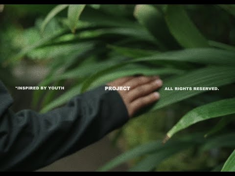 Project.mp4
