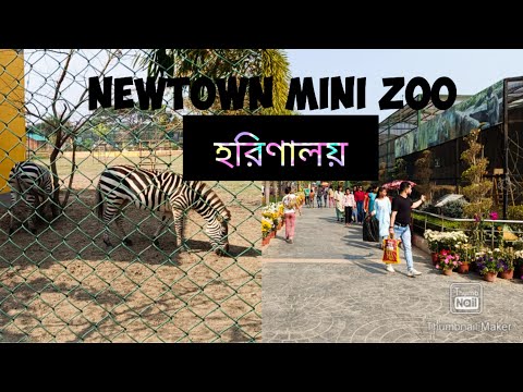 Newtown Deer park| Mini zoo kolkata| হরিনালয়