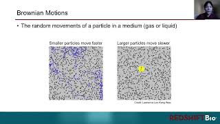 Dynamic Light Scattering
