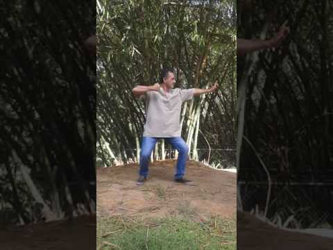 Qigong