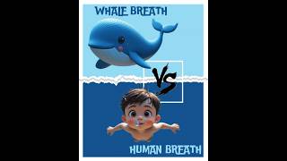 WHALE BREATH vs  HUMAN BREATH: WHO WINS  #stemforkids