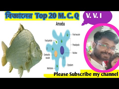 science gk in bengali || general science important questions || Science Tricks || UPSC, SSC, Railway