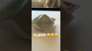 Making a PolyFill squishy!