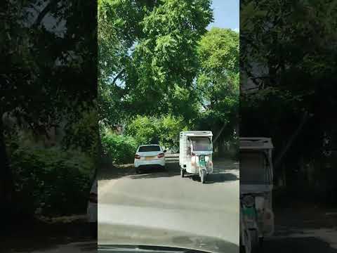 Do you guys have the same dream? #viralvideo #viralhumor #memes #fypシ #goviral #humor #trending